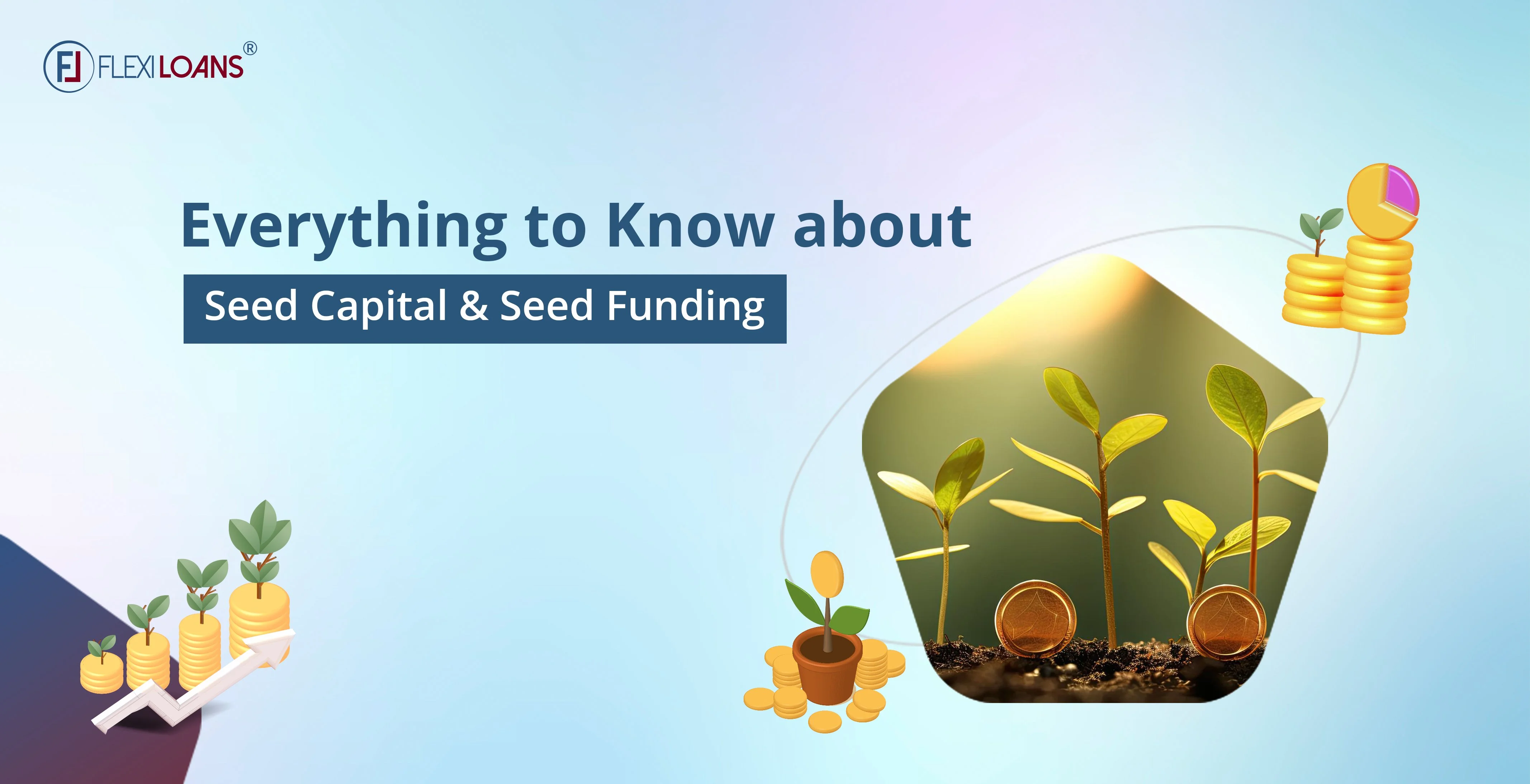 Everything to Know about Seed Capital &#038; Seed Funding